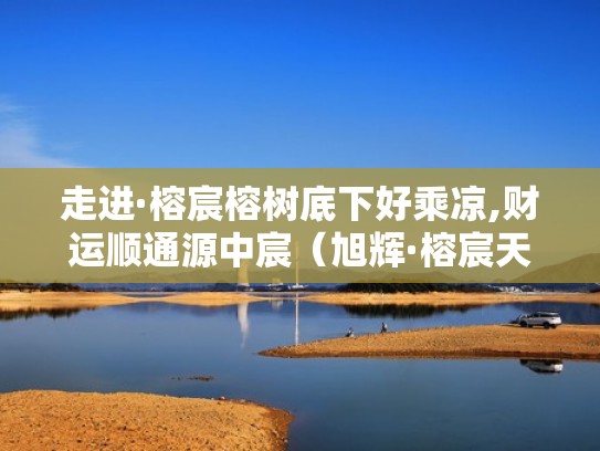 走进·榕宸榕树底下好乘凉,财运顺通源中宸（旭辉·榕宸天著）