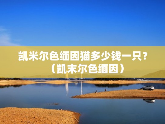 凯米尔色缅因猫多少钱一只?(凯末尔色缅因) 凯米尔色缅因猫多少钱一只?(凯末尔色缅因)