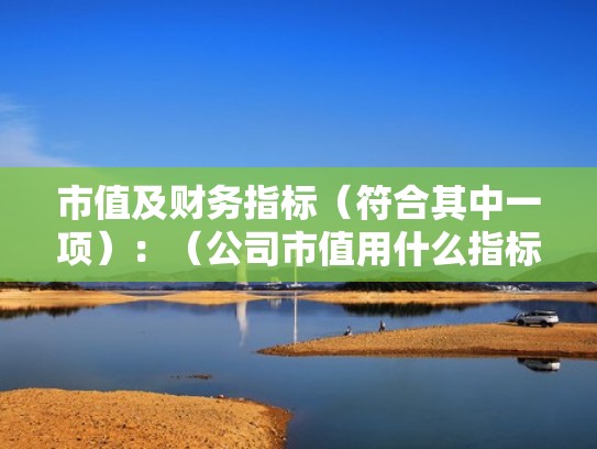 市值及财务指标（符合其中一项）：（公司市值用什么指标）