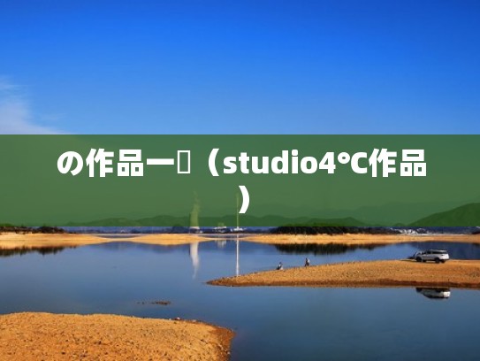 の作品一覧（studio4℃作品）
