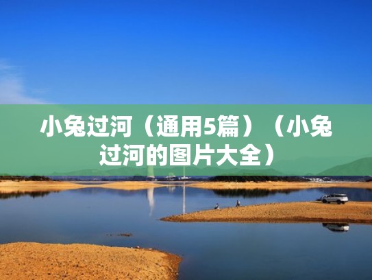 小兔过河（通用5篇）（小兔过河的图片大全）