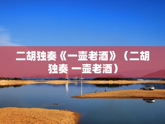 二胡独奏《一壶老酒》（二胡独奏 一壶老酒）