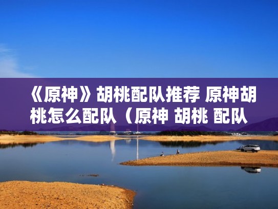 《原神》胡桃配队推荐 原神胡桃怎么配队（原神 胡桃 配队）