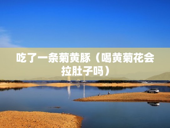 吃了一条菊黄豚（喝黄菊花会拉肚子吗）