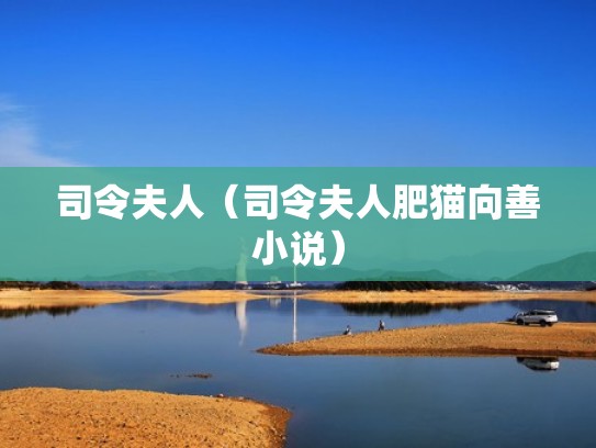 司令夫人（司令夫人肥猫向善小说）