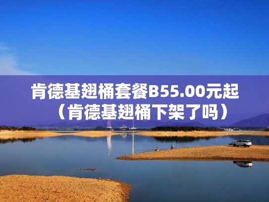 肯德基翅桶套餐B55.00元起（肯德基翅桶下架了吗）