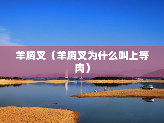 羊胸叉(羊胸叉为什么叫上等肉) 羊胸叉(羊胸叉为什么叫上等肉)