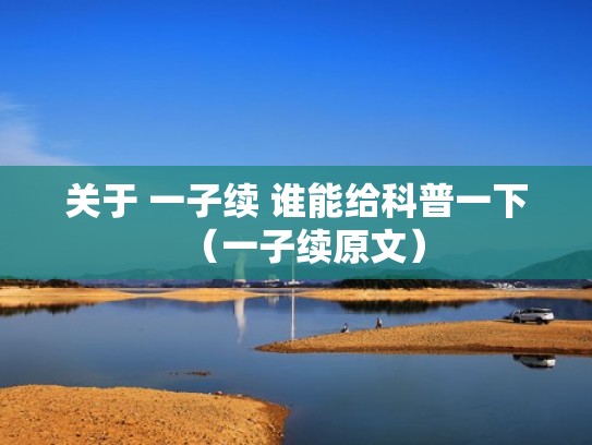 关于 一子续 谁能给科普一下（一子续原文）