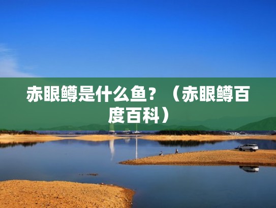 赤眼鳟是什么鱼？（赤眼鳟百度百科）