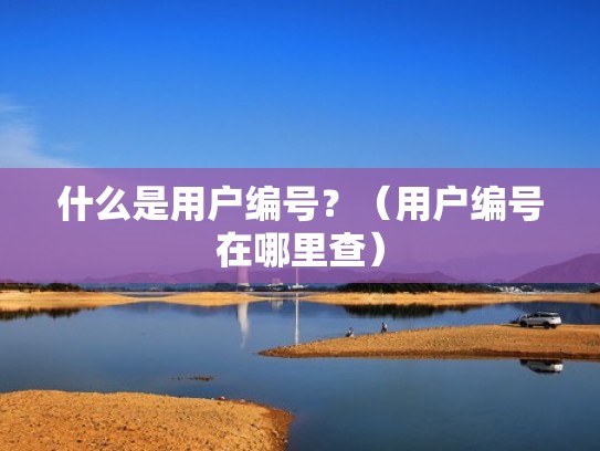 什么是用户编号？（用户编号在哪里查）