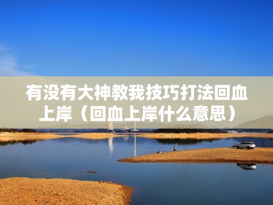 有没有大神教我技巧打法回血上岸（回血上岸什么意思）