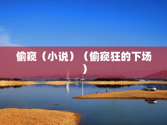 偷窥（小说）（偷窥狂的下场）