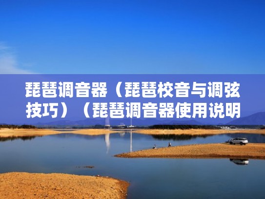 琵琶调音器（琵琶校音与调弦技巧）（琵琶调音器使用说明）