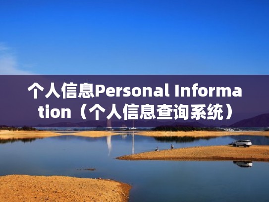 个人信息Personal Information（个人信息查询系统）