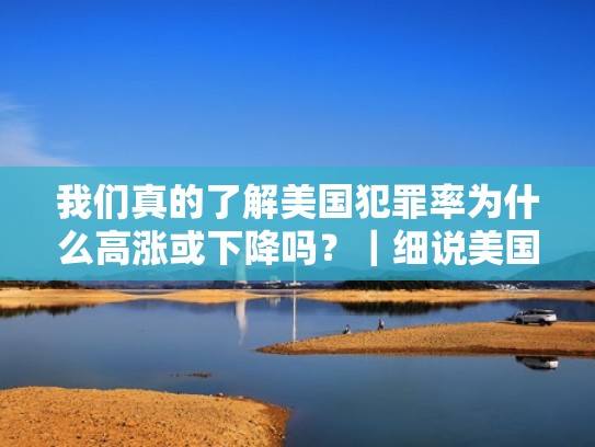 我们真的了解美国犯罪率为什么高涨或下降吗?|细说美国(美国犯罪率飙升) 我们真的了解美国犯罪率为什么高涨或下降吗?|细说美国(美国犯罪率飙升)