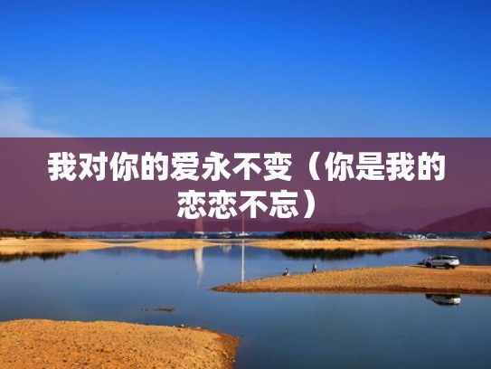 我对你的爱永不变(你是我的恋恋不忘) 我对你的爱永不变(你是我的恋恋不忘)