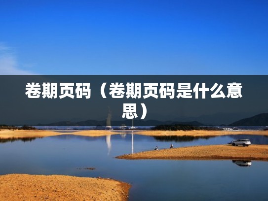 卷期页码（卷期页码是什么意思）