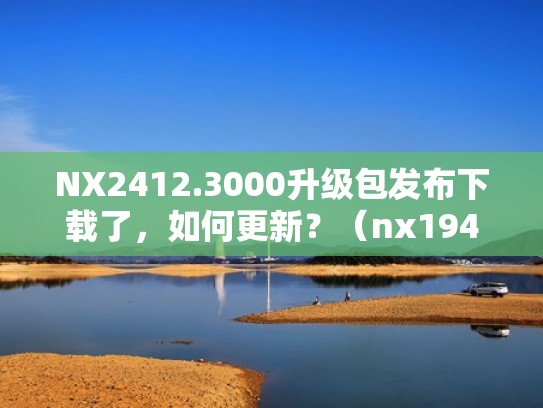 NX2412.3000升级包发布下载了,如何更新?(nx1946升级包安装教程) NX2412.3000升级包发布下载了,如何更新?(nx1946升级包安装教程)