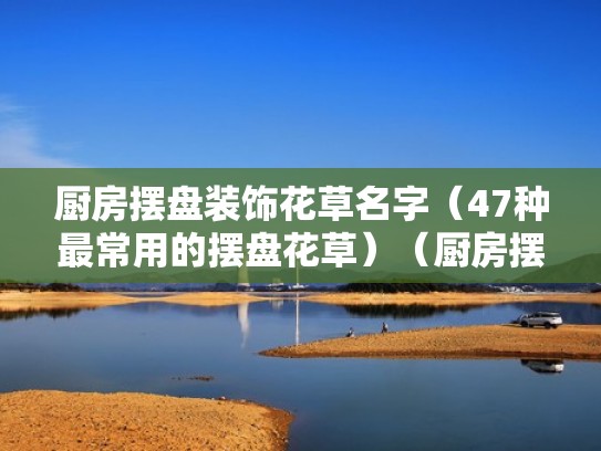 厨房摆盘装饰花草名字(47种最常用的摆盘花草)(厨房摆盘花都有什么花) 厨房摆盘装饰花草名字(47种最常用的摆盘花草)(厨房摆盘花都有什么花)