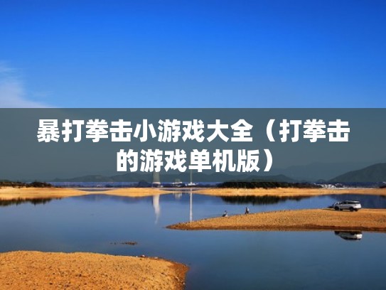 暴打拳击小游戏大全（打拳击的游戏单机版）