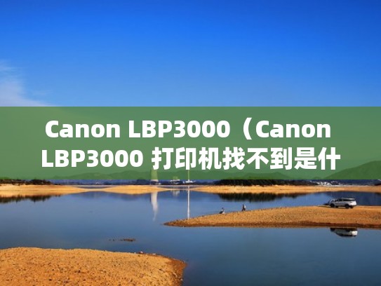 Canon LBP3000（Canon LBP3000 打印机找不到是什么原因）