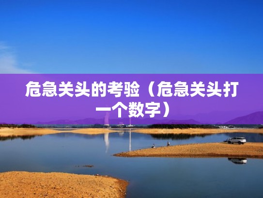 危急关头的考验（危急关头打一个数字）