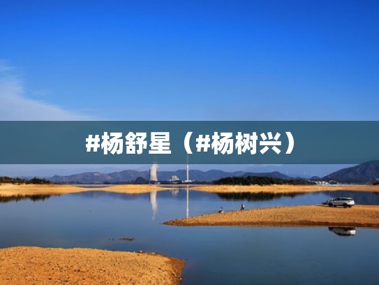 #杨舒星（#杨树兴）