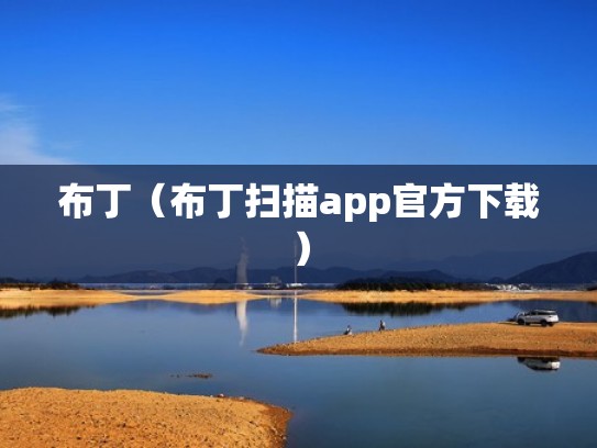 布丁（布丁扫描app官方下载）