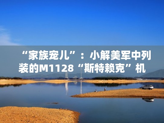 “家族宠儿”:小解美军中列装的M1128“斯特赖克”机动火炮系统(斯特赖克突击炮) “家族宠儿”:小解美军中列装的M1128“斯特赖克”机动火炮系统(斯特赖克突击炮)