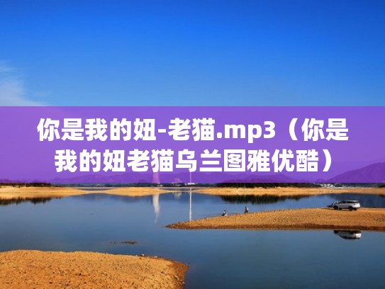 你是我的妞-老猫.mp3（你是我的妞老猫乌兰图雅优酷）