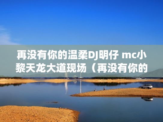 再没有你的温柔DJ明仔 mc小黎天龙大道现场（再没有你的冬眠什么歌）