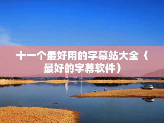 十一个最好用的字幕站大全（最好的字幕软件）