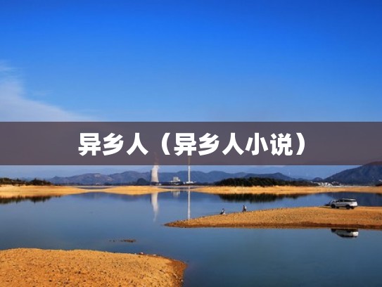 异乡人（异乡人小说）