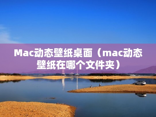 Mac动态壁纸桌面（mac动态壁纸在哪个文件夹）