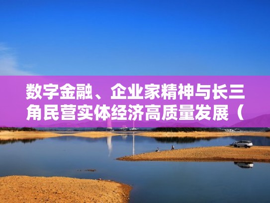 数字金融、企业家精神与长三角民营实体经济高质量发展（聚焦数字金融）