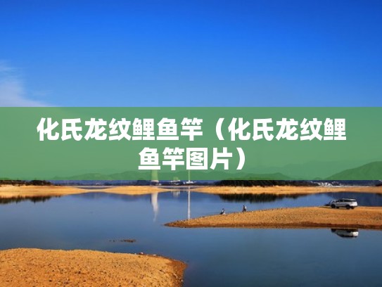 化氏龙纹鲤鱼竿（化氏龙纹鲤鱼竿图片）