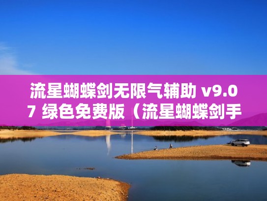 流星蝴蝶剑无限气辅助 v9.07 绿色免费版（流星蝴蝶剑手游无限气）