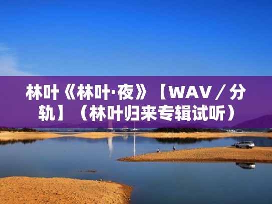 林叶《林叶·夜》【WAV／分轨】（林叶归来专辑试听）