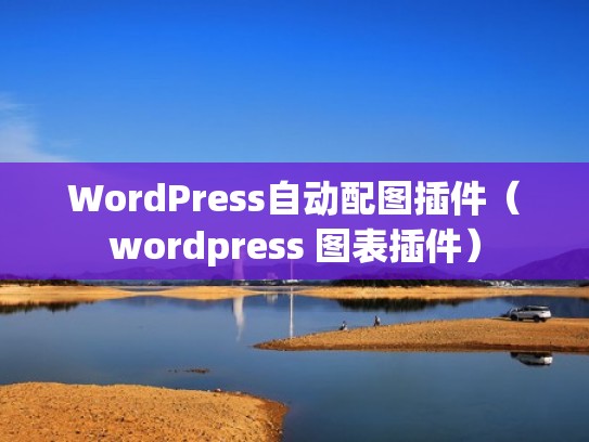 WordPress自动配图插件（wordpress 图表插件）