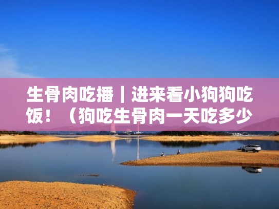 生骨肉吃播｜进来看小狗狗吃饭！（狗吃生骨肉一天吃多少）