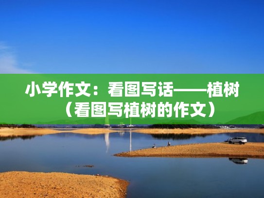 小学作文：看图写话——植树（看图写植树的作文）