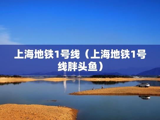 上海地铁1号线（上海地铁1号线胖头鱼）