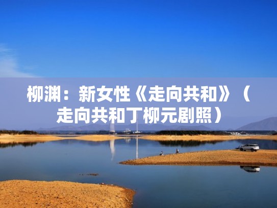 柳渊：新女性《走向共和》（走向共和丁柳元剧照）