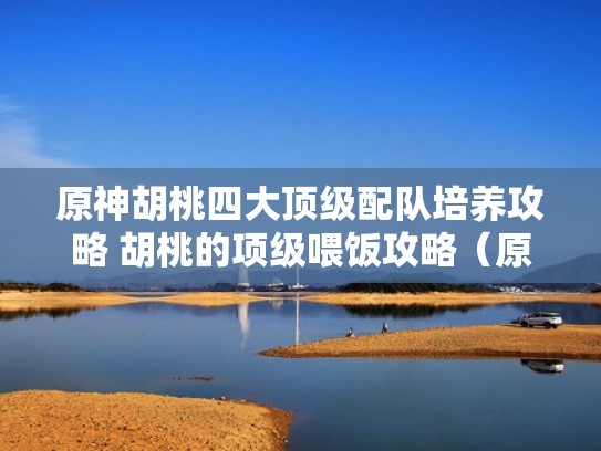 原神胡桃四大顶级配队培养攻略 胡桃的项级喂饭攻略（原神胡桃平民队伍搭配）