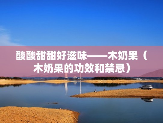 酸酸甜甜好滋味——木奶果（木奶果的功效和禁忌）