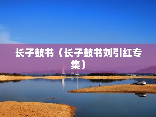 长子鼓书（长子鼓书刘引红专集）