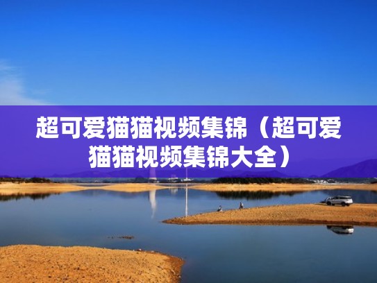 超可爱猫猫视频集锦（超可爱猫猫视频集锦大全）