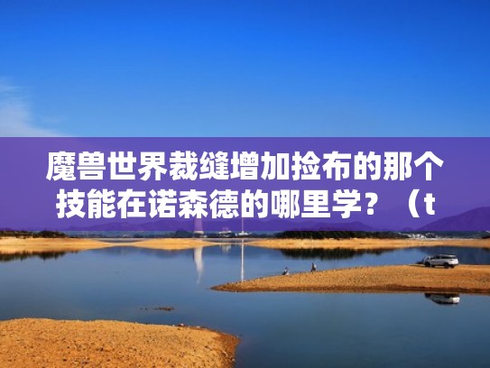 魔兽世界裁缝增加捡布的那个技能在诺森德的哪里学？（tbc裁缝洗什么布赚钱）