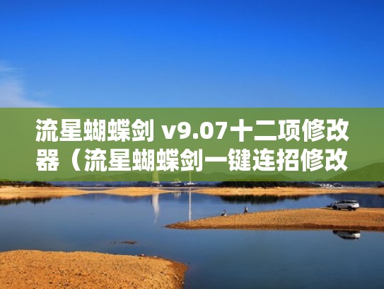 流星蝴蝶剑 v9.07十二项修改器（流星蝴蝶剑一键连招修改器）