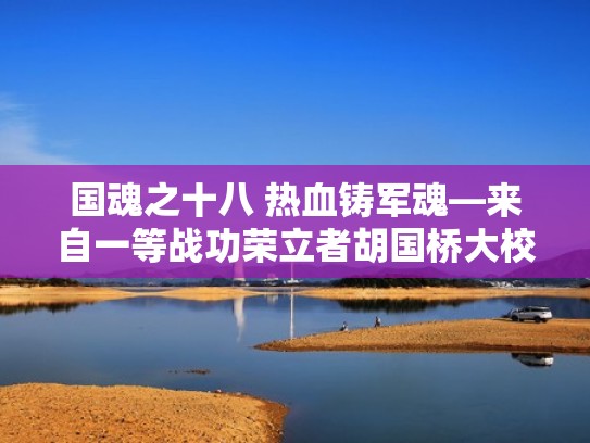 国魂之十八 热血铸军魂—来自一等战功荣立者胡国桥大校的报告（胡国桥将军）